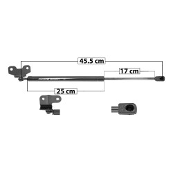 AMORTIGUADOR COFRE HD ACCORD 08-12 45.5 25 17 ENTRADA TIPO 11 ENTRADA 2 TIPO 9 340 73.44 33.31 280 62.95 28.55 SPART SP-8026 TUR Derecho/Izquierdo
