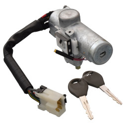 CILINDRO DE ENCENDIDO NS FRONTIER 98-04 CON LLAVE 1 PIEZA 8 PINS METAL CROMADO 12VCC TWN YAU YOUNG D8700-4S100