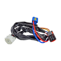 PASTILLA DE ENCENDIDO PG PARTNER 04-11 4 PINS 12VCC MANIJAUTO CHN CHIN