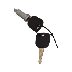 CILINDRO PARA PUERTA FD ECOSPORT 04-12 FD FIESTA 03-10 FD IKON SEDAN 08-12 CON LLAVE SIN CHIP 1 PIEZA METAL CHIN MANIJAUTO Derecho/Izquierdo